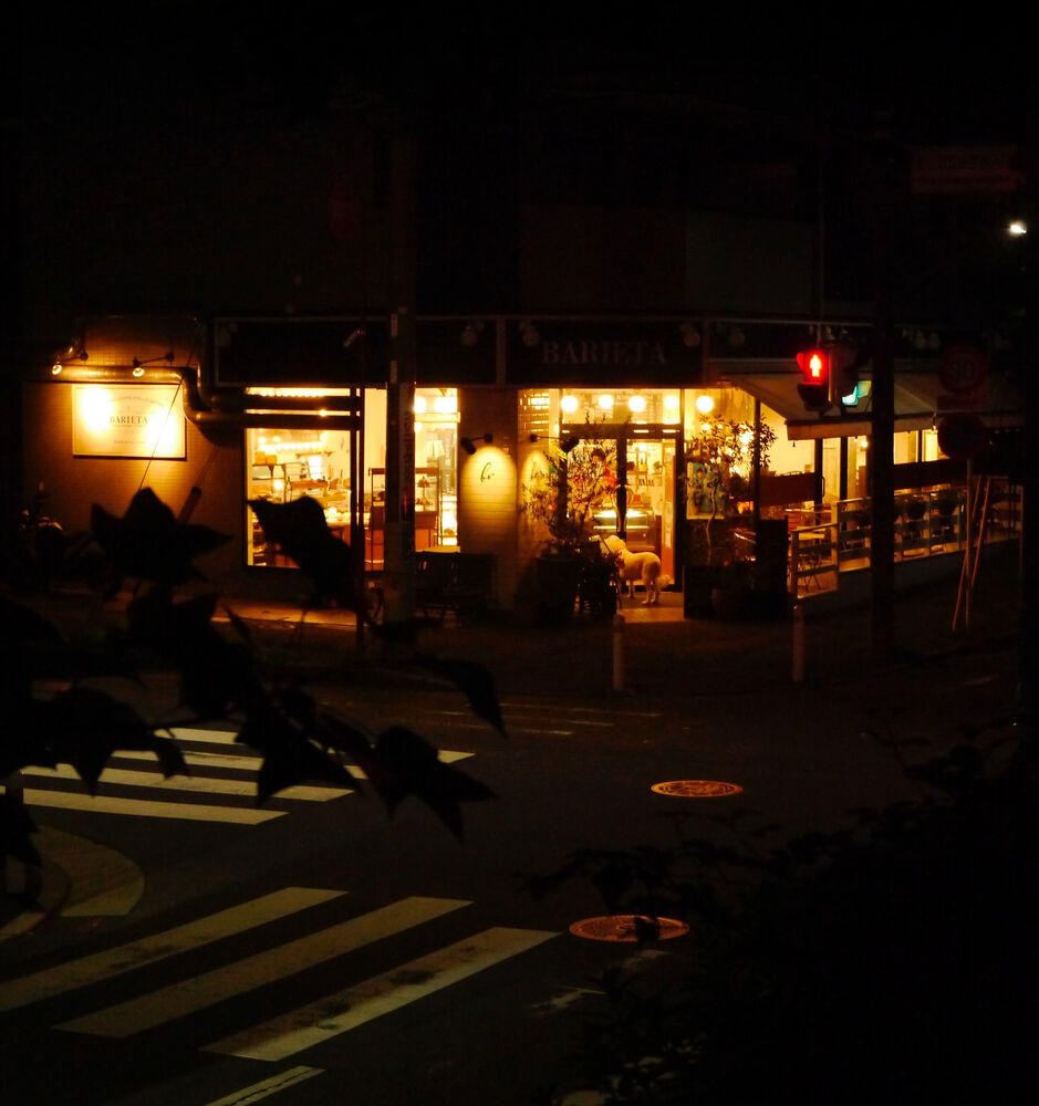 ブログ